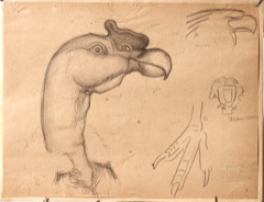Preparatory sketch.  Shield of the National University of Mexico, with Eagle and Condor.  Jean Charlot.