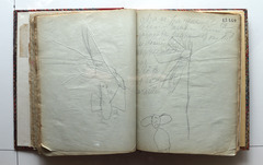 Page 138; page 139 (17,440).  Juvenilia 1904.  Jean Charlot.