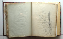 Page 290; page 291 (17,480).  Juvenilia 1904.  Jean Charlot.