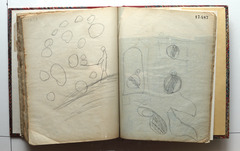 Page 326; page 327.  Juvenilia 1904.  Jean Charlot.