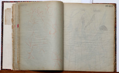 Page 50; page 51 (17,413).  Juvenilia 1904.  Jean Charlot.