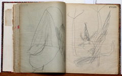 Page 52; page 53 (17,414).  Juvenilia 1904.  Jean Charlot.