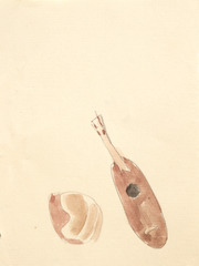 Pencil and watercolor on paper.  Dance.  Jean Charlot.
